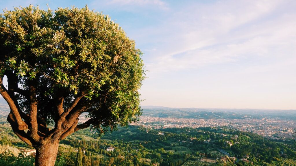 Piękny widok na Florencję ze wzgórze w Fiesole