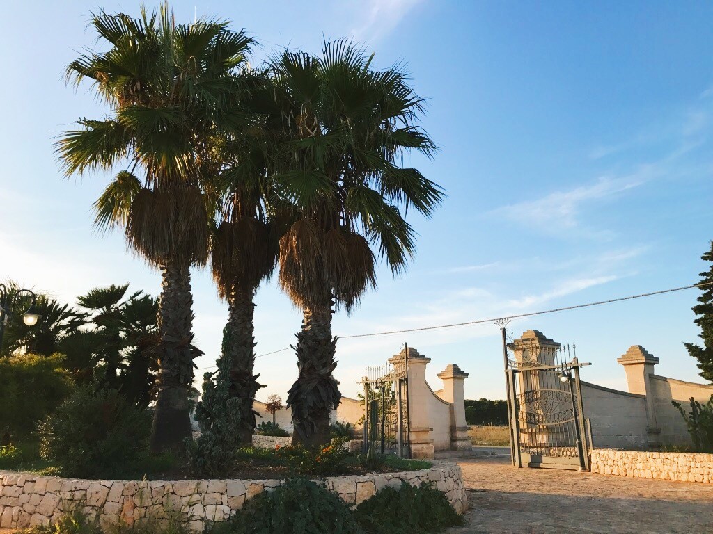 Ogród w Torre Lapillo