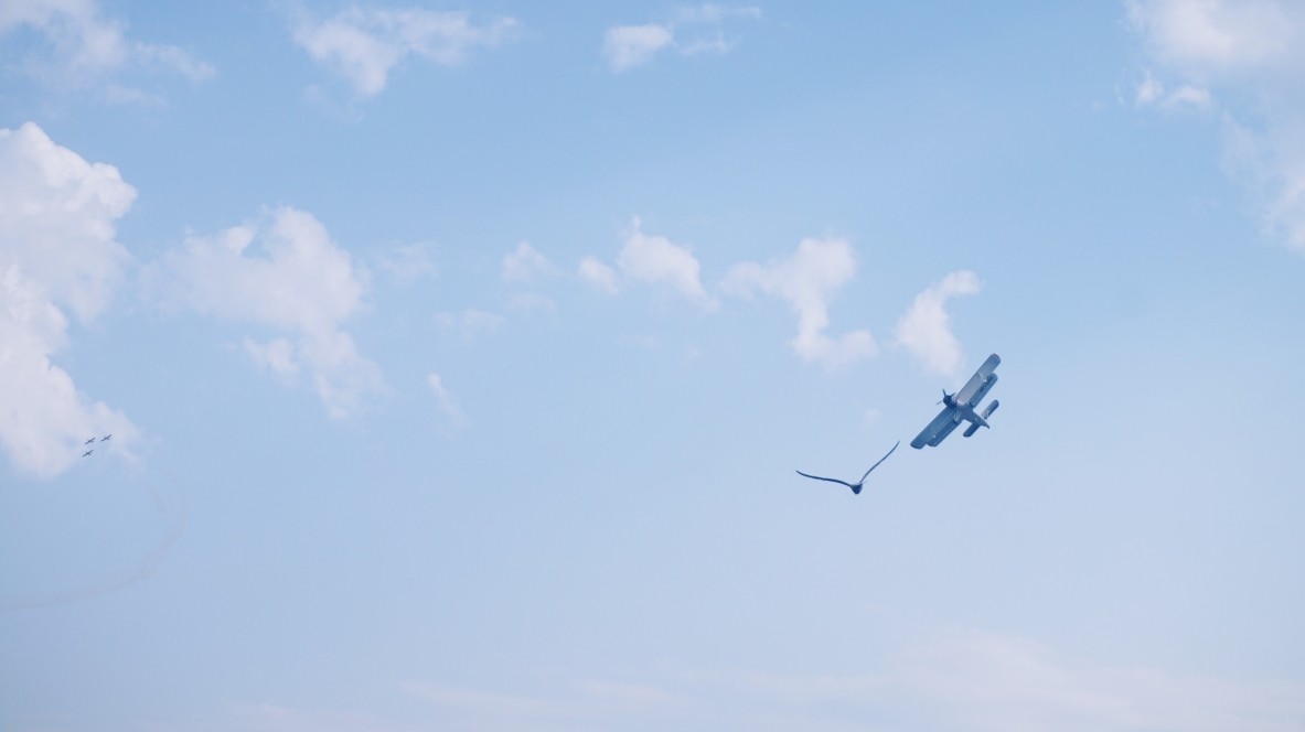 Pokazy lotnicze Aerobaltic 2017 w Gdyni