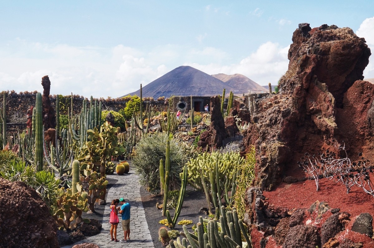 Jardin de Cactus na Lanzarote - Ogród z kaktusami