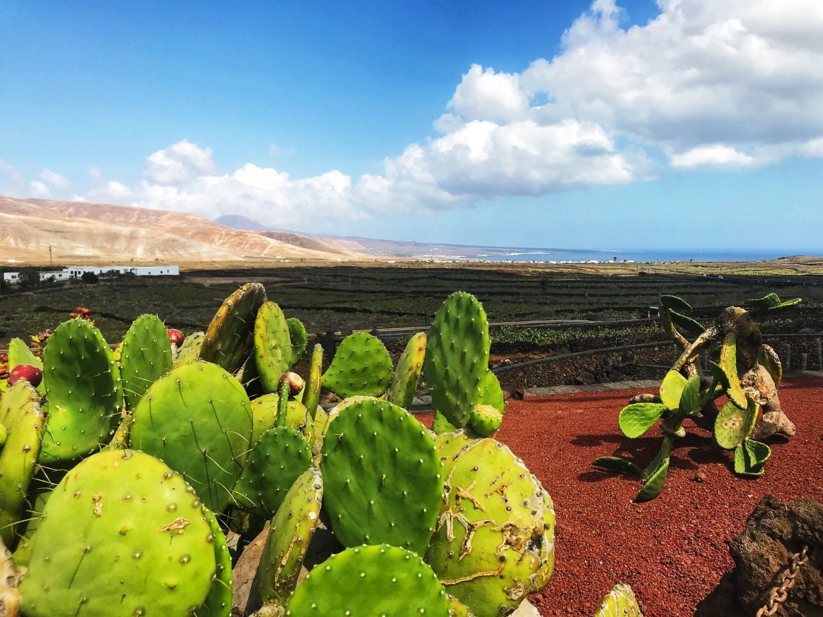 Lanzarote Wyspy Kanaryjskie