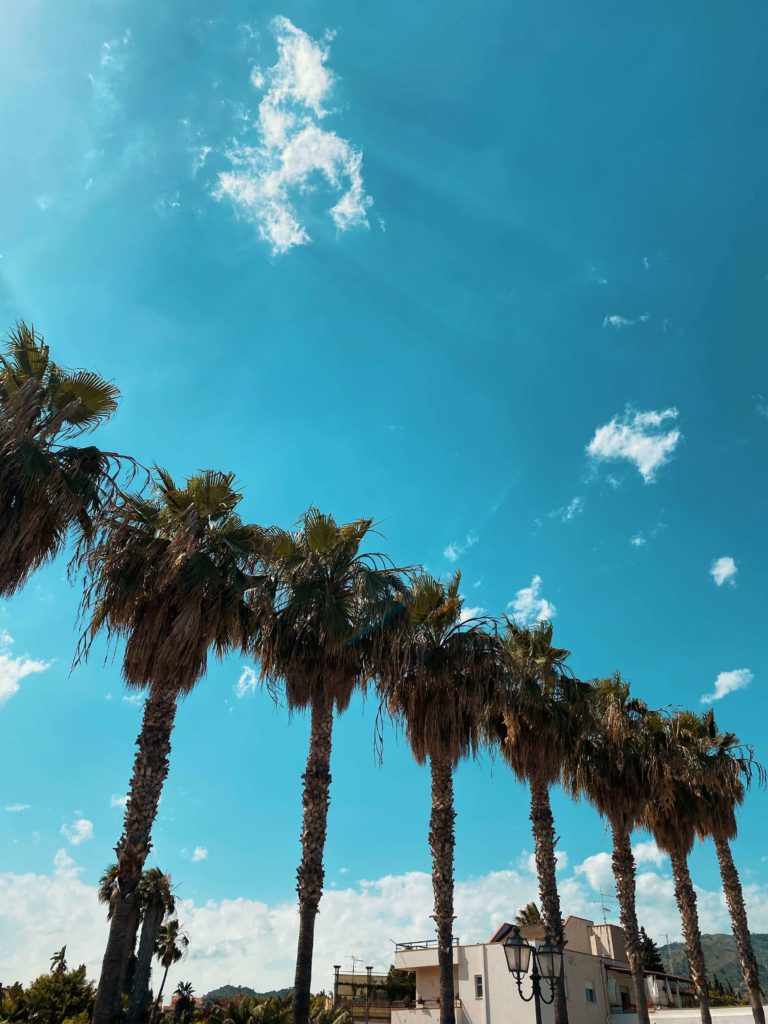Recanati, Giardini Naxos, palm trees
