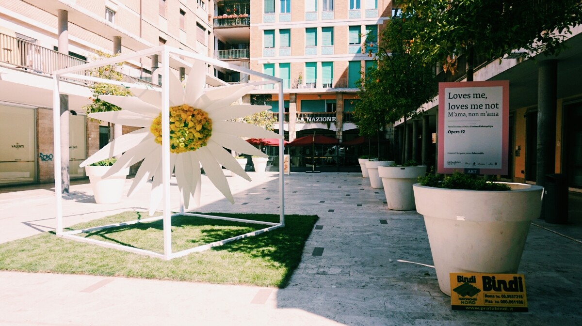 Flowers in Pisa - Earth's Day