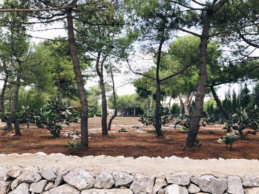 Garden in Apulia