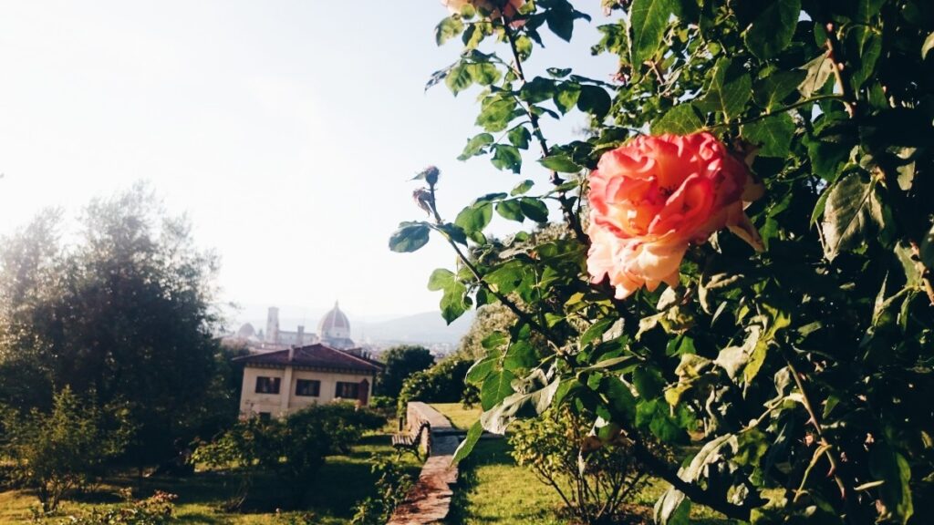 The beautiful view from the Giardino delle Rose
