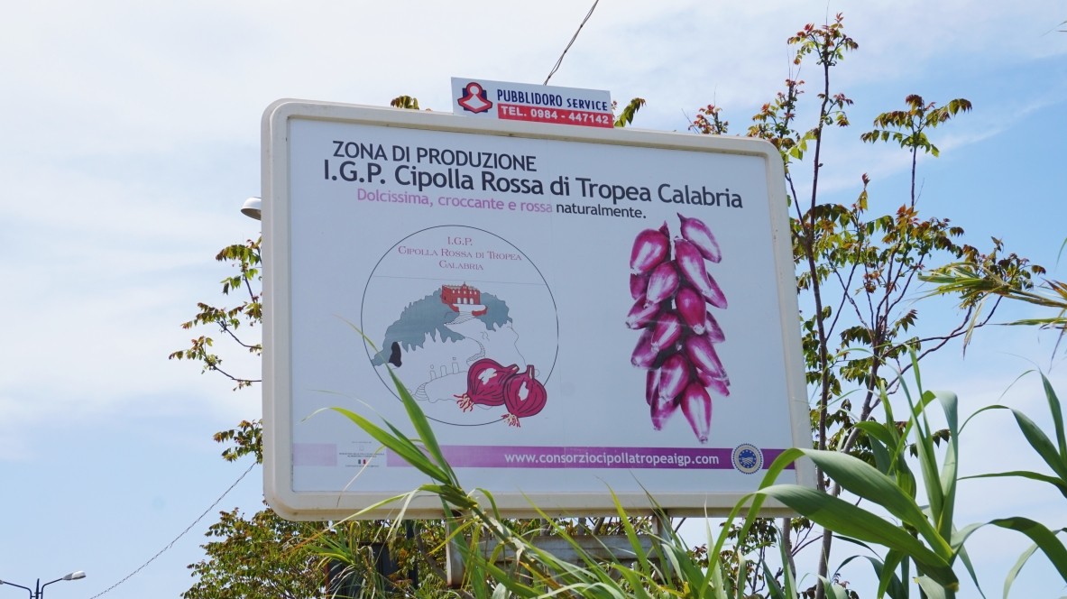 Red onion in Calabria in Italy