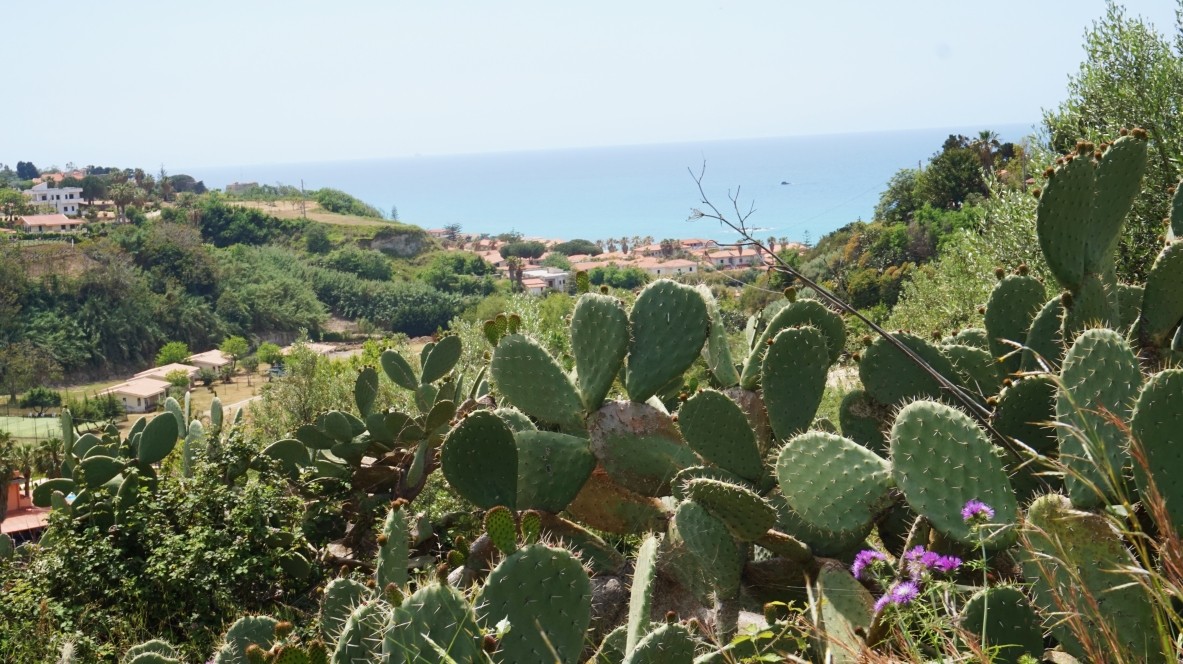 Beautiful way to Capo Vaticano in Calabria