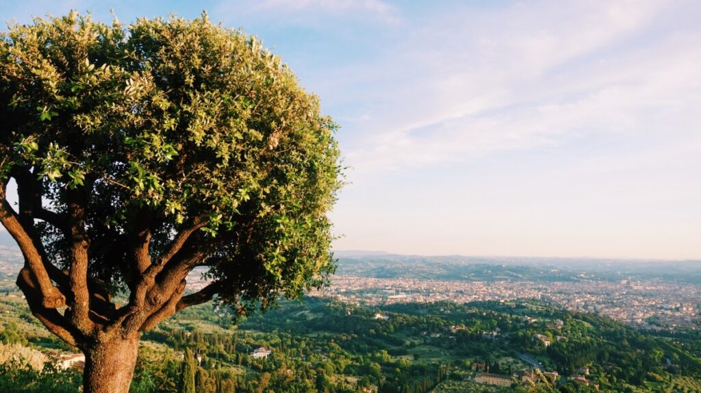 Amazing view of Florence from beautiful Tuscan city - Fiesole